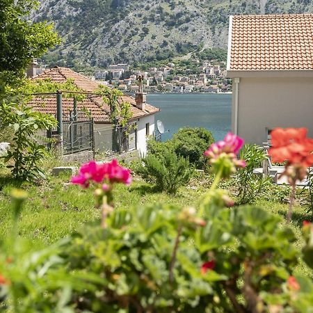 Muo Sea Front Apartments Kotor Exterior foto